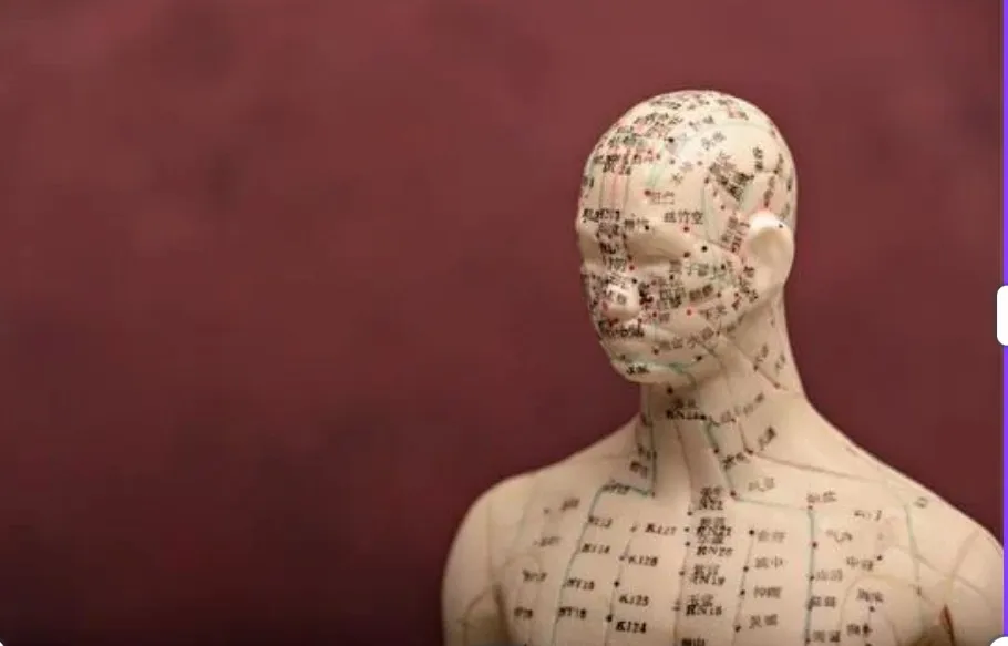 鍼灸で身体の不調を解消する理由