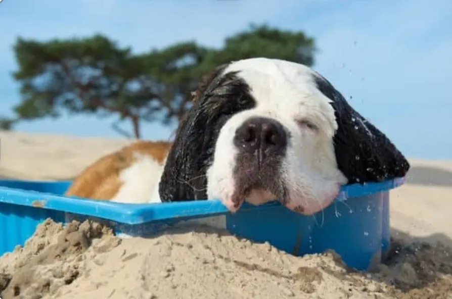 お盆明けの疲れを足つぼで解消しよう