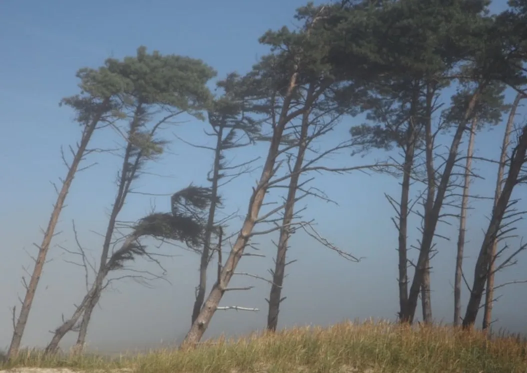 台風の季節に最適な鍼灸で頭痛緩和