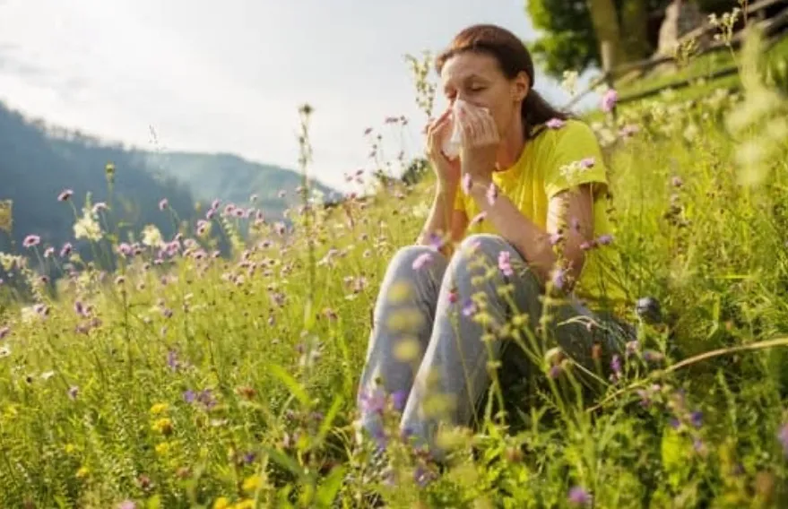 鍼灸で花粉症に負けない免疫力アップ